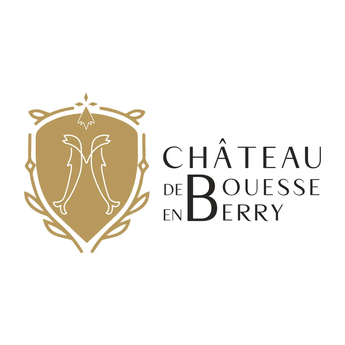 Identité visuelle Château de Bouesse en Berry - armoirie modernisée, élégance contemporaine