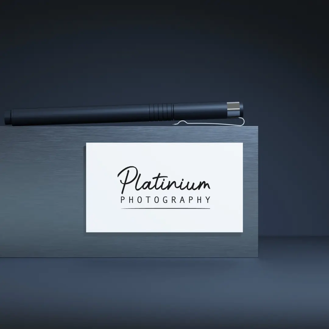 Carte de visite Platinium Photography - identité typographique élégante, graphiste Nancy